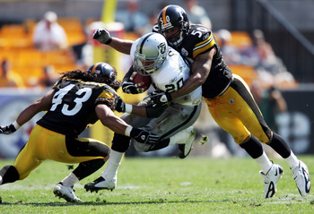 troy polamalu 2004